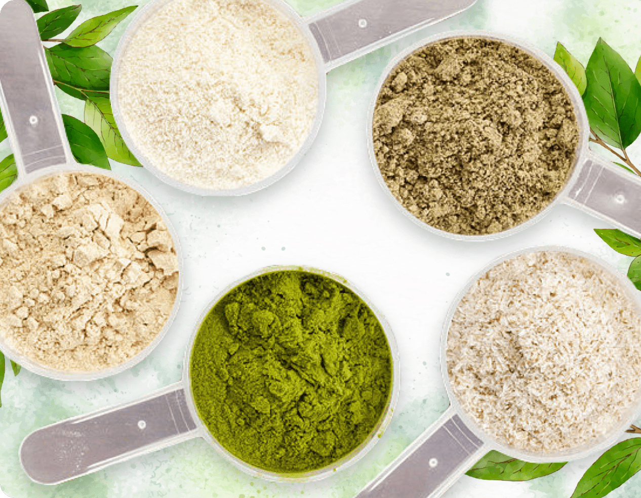 ProDentim Ingredients Blend